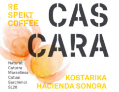 CASCARA Hacienda Sonora
