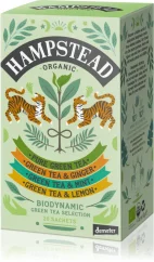 Výběr zelených čajů Hampstead